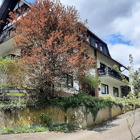 Ferienwohnung Bergblick 哈伦贝格 外观 照片