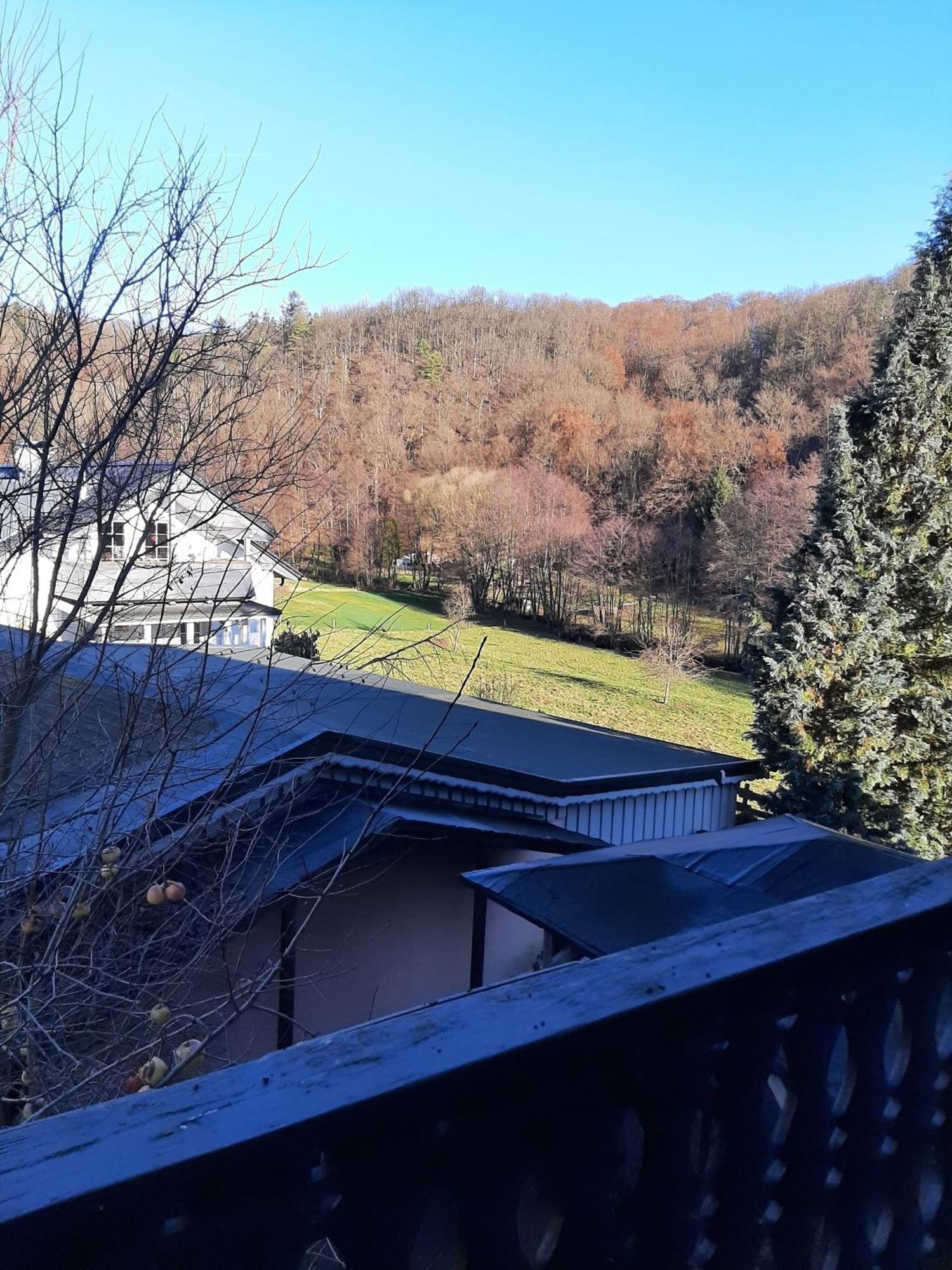 Ferienwohnung Bergblick 哈伦贝格 外观 照片