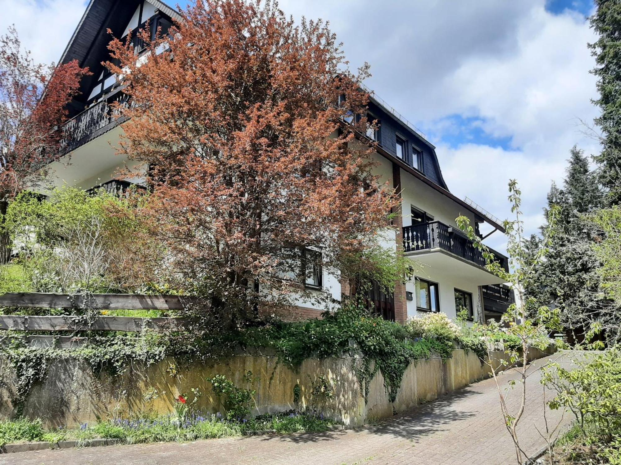 Ferienwohnung Bergblick 哈伦贝格 外观 照片
